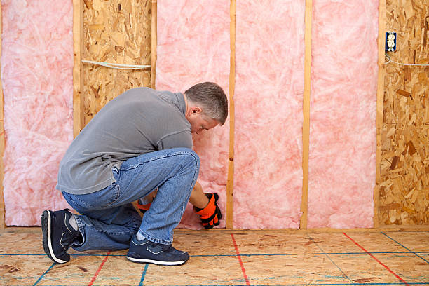 Best Commercial Insulation in Chebanse, IL