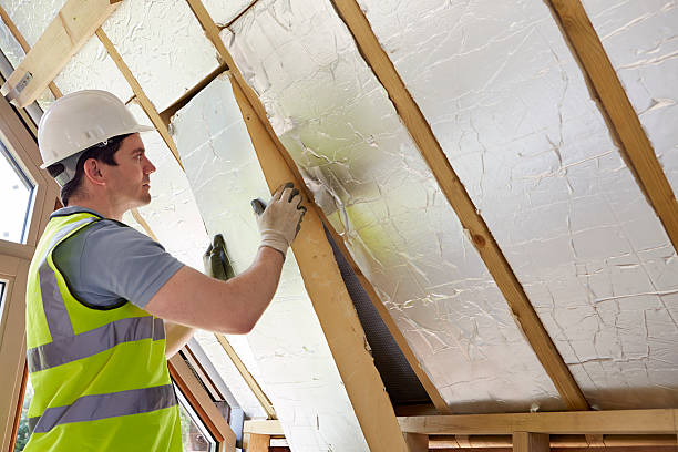 Best Insulation Installation Services in Chebanse, IL